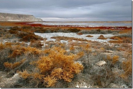 Aral_Sea2
