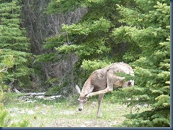 clip_image012