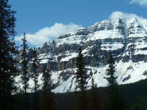 [clip_image0483.jpg]