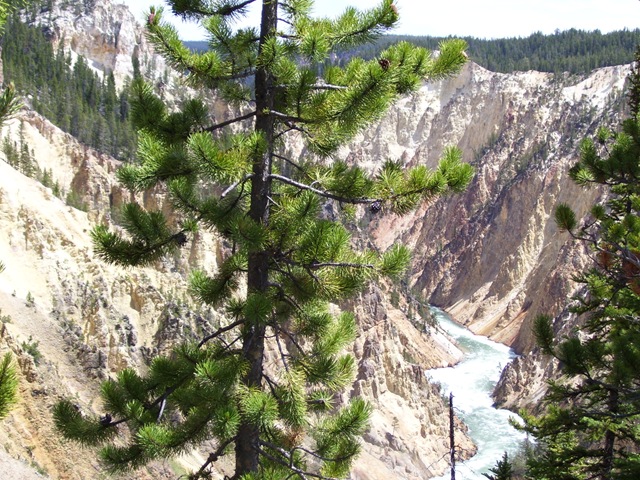 [100_01662.jpg]