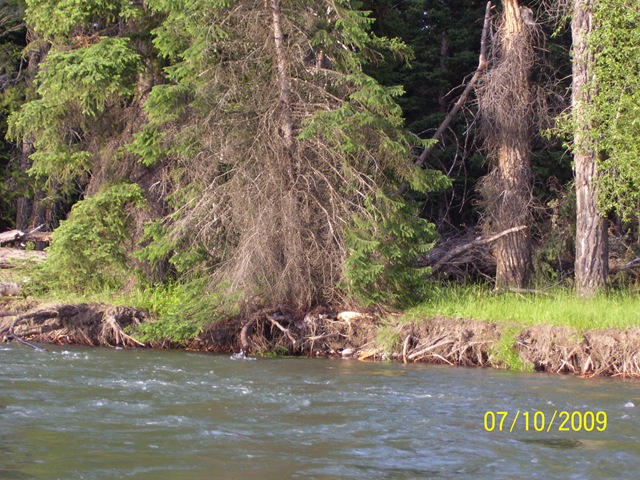 [100_03332.jpg]