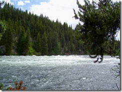 rapids 1