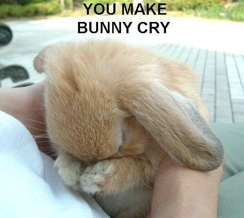 [bunny cry[5].jpg]