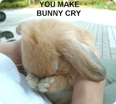 bunny cry