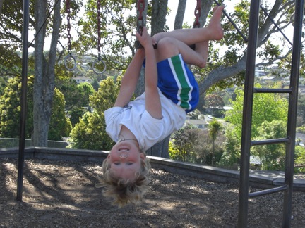 [November 042[3].jpg]