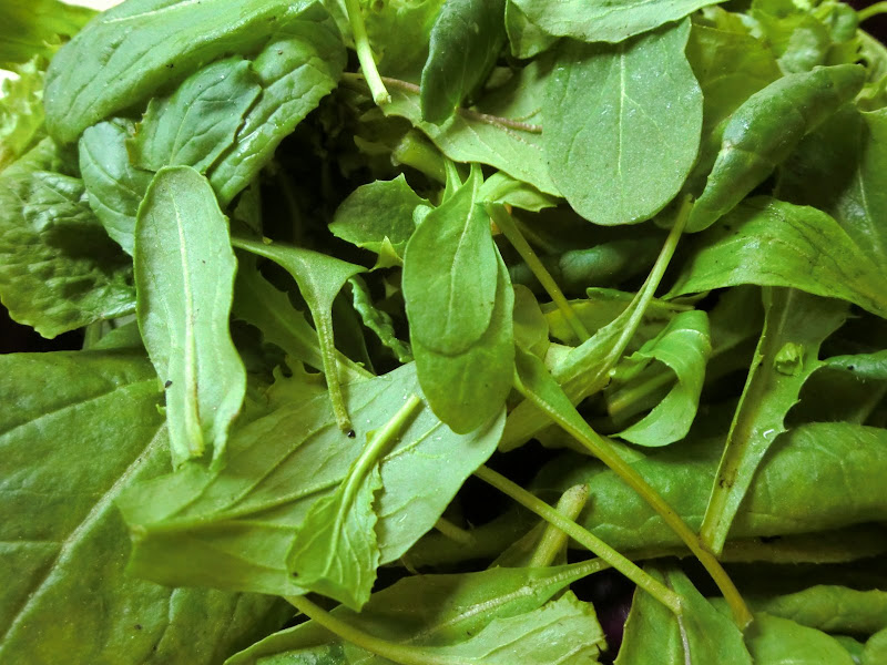 Northstar farm salad