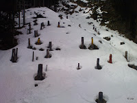 DSC00632.JPG
