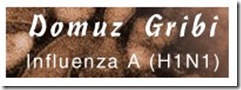 Domuzgribi