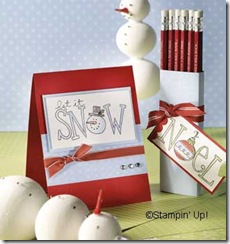 pencilcase_DEC_snowcard