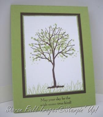 tree1ctkcardsplnbkgrd
