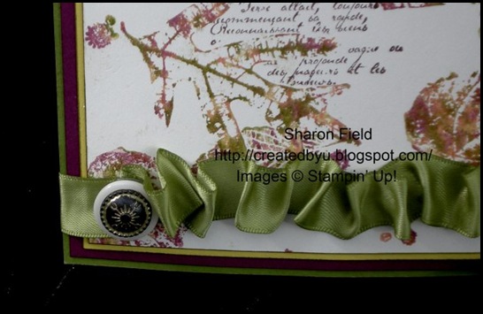 Scrunch Ribbon Created By You Scrunch Ribbon Created By You
