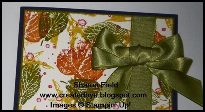 UDI6bSharonField UDI6bSharonField
