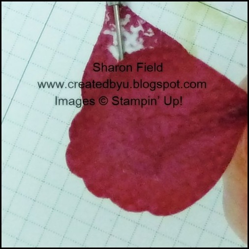 P1010591