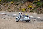 DSC_0131.JPG