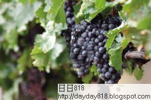 世界各國年夜飯