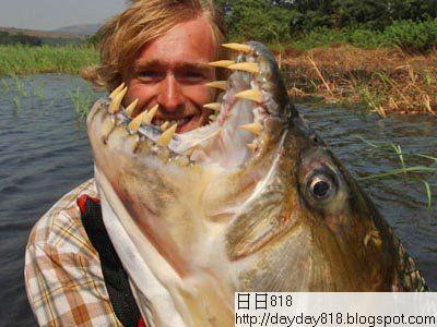 全球十大最恐怖 惡魔魚