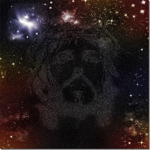 face nas estrelas face nas estrelas