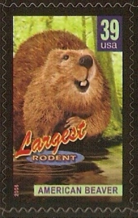 [Rodent2[2].jpg]