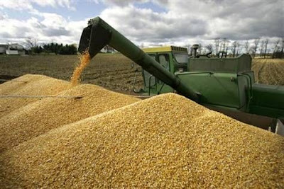 Area Farmers Are Beginning The Fall Harvest.<br />
(Carolyn Kaster / AP)