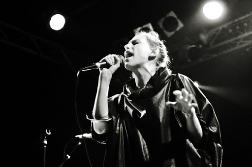 (c) Chrystèle Lacène - http://www.arbobo.fr