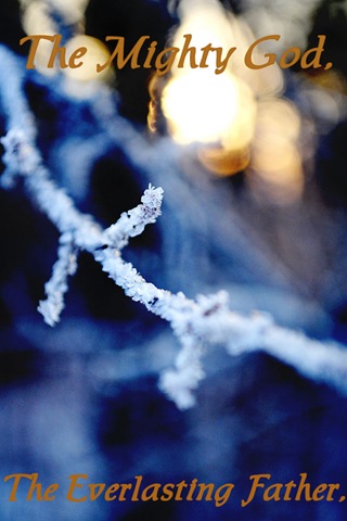 [tree branch-ice crystals[4].jpg]