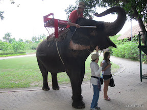 พู่กันเที่ยวสวนสามพราน