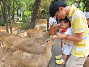 พู่กันเที่ยวฟาร์ม ชคชัย