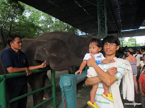 พู่กันเที่ยวศรีราชา
