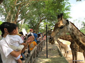 พู่กันเที่ยวบางแสนวันที่ 3 สวนสัตว์เปิดเขาเขียว