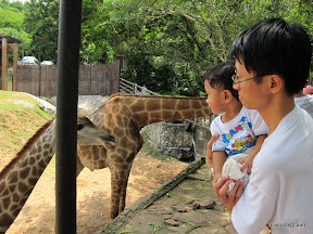 พู่กันเที่ยวบางแสนวันที่ 3 สวนสัตว์เปิดเขาเขียว