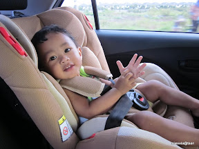 พู่กันป่วย