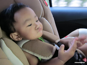 พู่กันป่วย