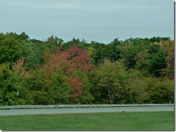 P1070570