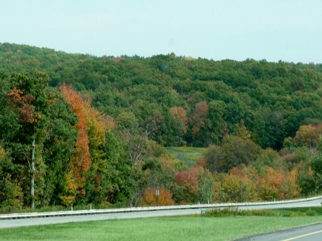 [P1070567[6].jpg]