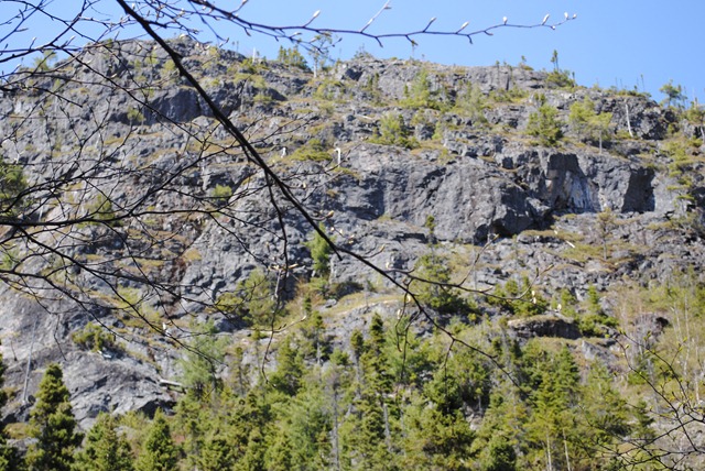 [DSC_14783.jpg]