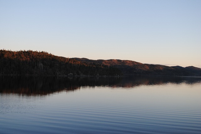 [DSC_15593.jpg]