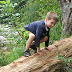 DSCF3529.JPG