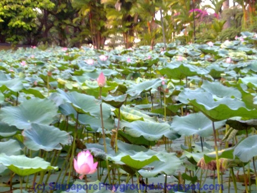 [28022010017[4].jpg]