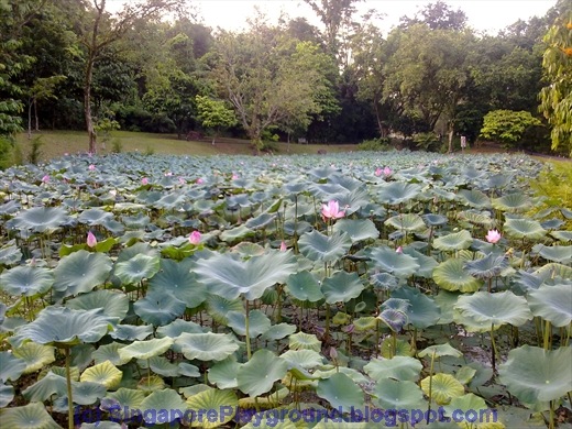 [28022010007[5].jpg]