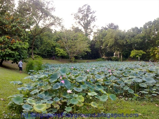 [28022010011[4].jpg]