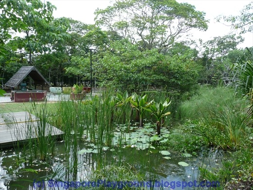 [P10102643.jpg]
