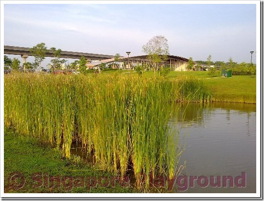 24042010237_thumb[2]