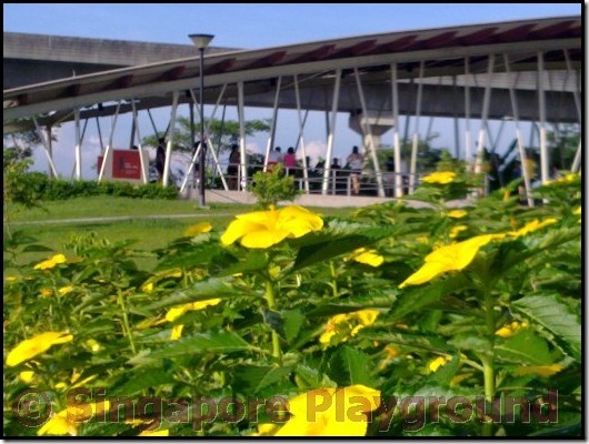 01052010312_thumb[2]