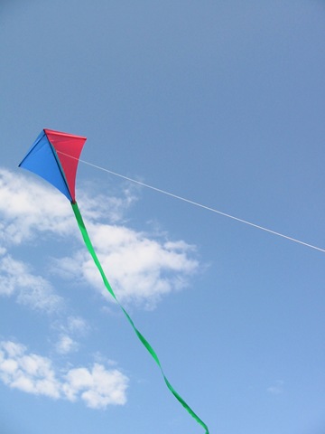 [kitelong[5].jpg]