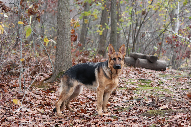 IMAGE: http://lh4.ggpht.com/_gKetm36gwX0/TNtYOJBg1ZI/AAAAAAAAALg/vMZprDa2Nrg/s800/IMG_1039.JPG