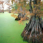 Lakes
