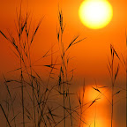 Sun & Sky