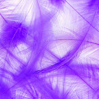 3D Feather