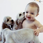 Innocence Dosti