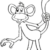 Macacos PB (12).jpg